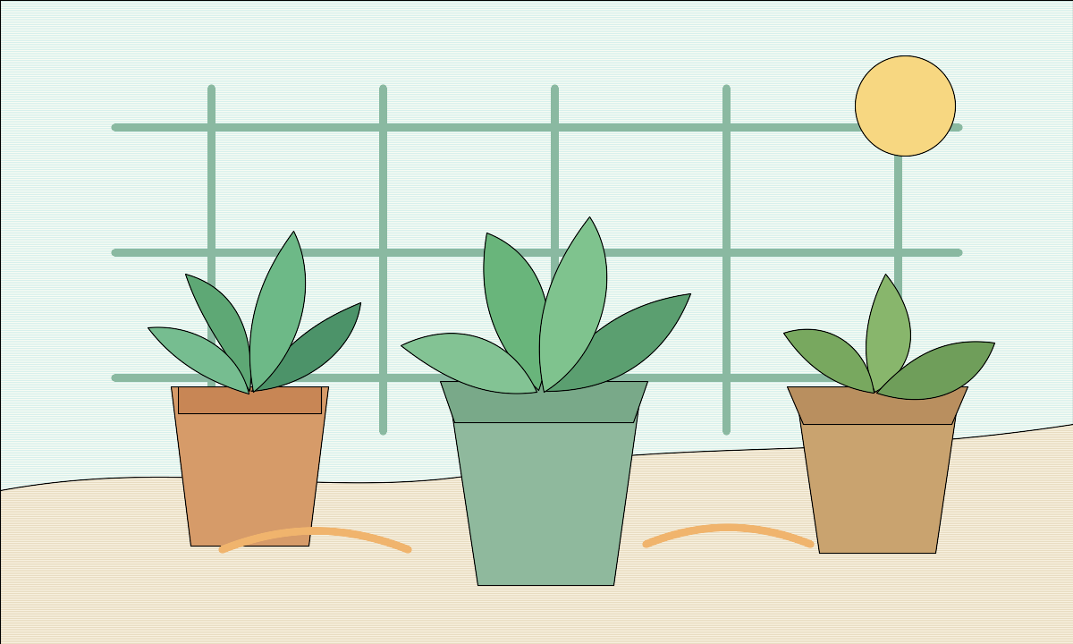 阳台植物插图